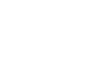 PFM Berthelot
